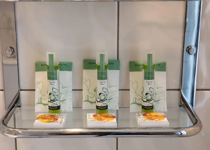 圣日耳曼万国酒店 3* 巴黎